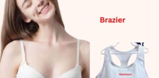 सही ब्रेजियर कैसे चुनें? 2026 की सम्पूर्ण गाइड सही ब्रेजियर कैसे चुनें? 2026 की सम्पूर्ण गाइड