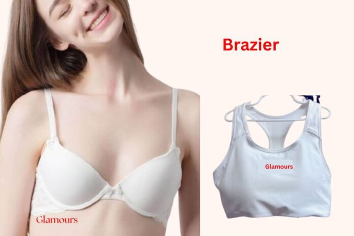 सही ब्रेजियर कैसे चुनें? 2026 की सम्पूर्ण गाइड सही ब्रेजियर कैसे चुनें? 2026 की सम्पूर्ण गाइड